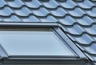 Forest Landskylight-replacements.jpg; ?>